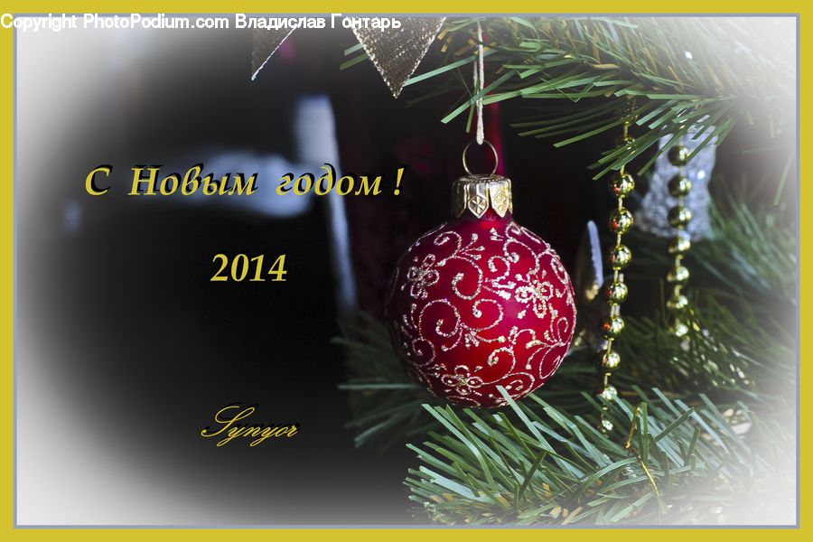 Fruit, Raspberry, Ornament, Conifer, Fir, Plant, Tree