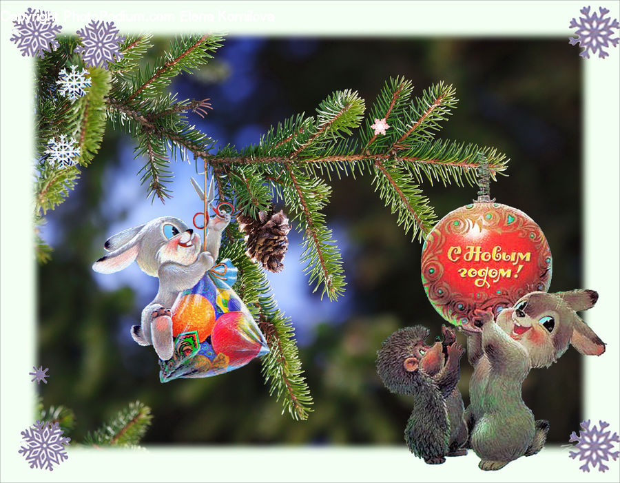 Conifer, Fir, Plant, Tree, Collage, Poster, Beak