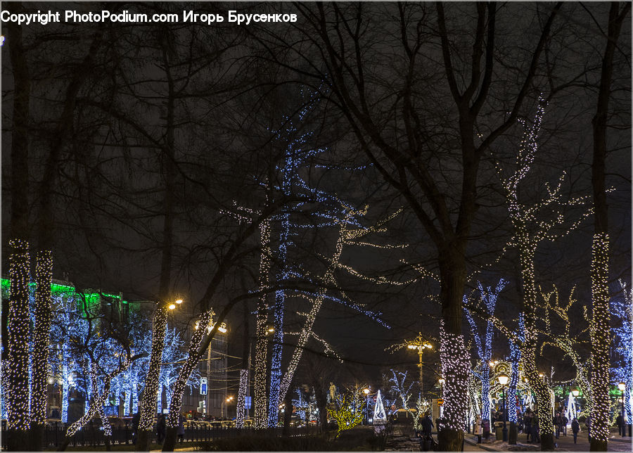 City, Downtown, Lighting, Metropolis, Urban, Night, Outdoors