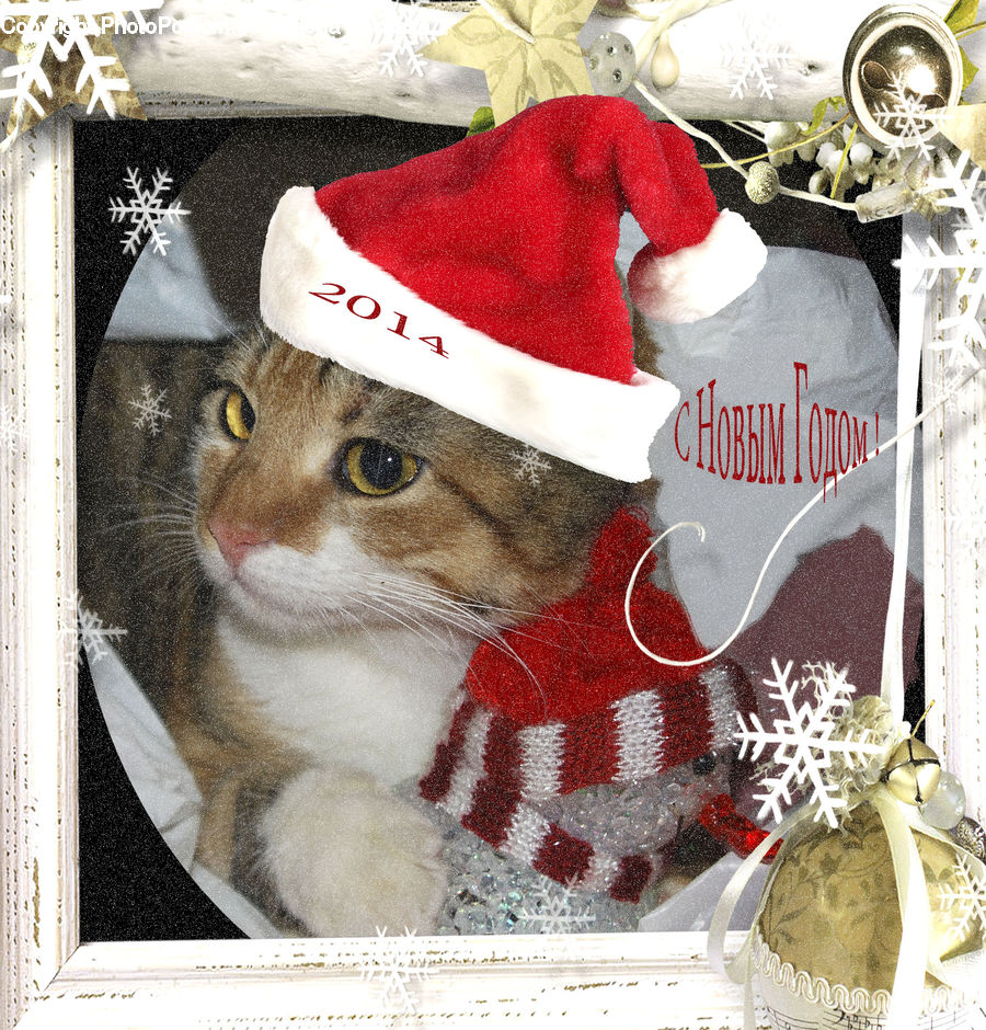 Ornament, Brochure, Flyer, Poster, Knitting, Collage, Accessories