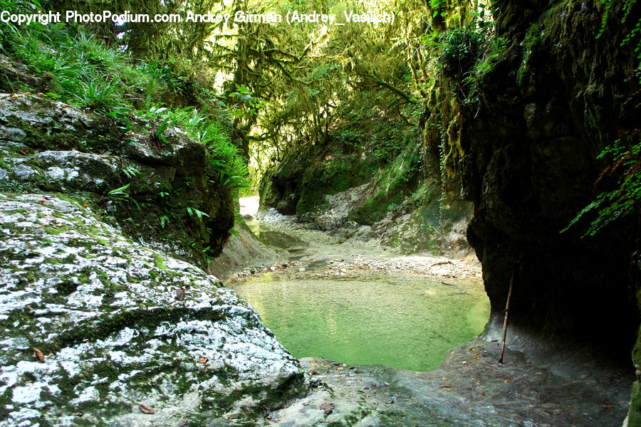 Cave, Creek, Outdoors, River, Water, Forest, Jungle