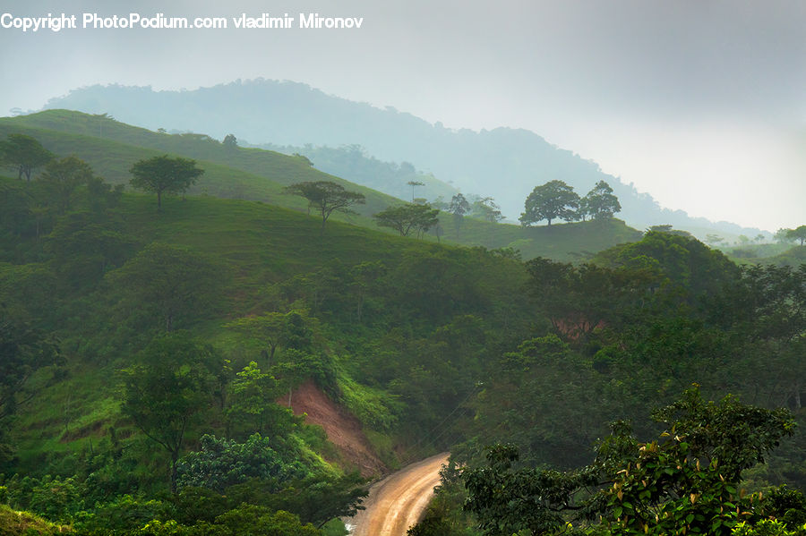 Dirt Road, Gravel, Road, Mountain, Mountain Range, Outdoors, Path