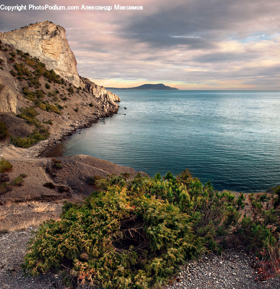 Cliff, Outdoors, Conifer, Fir, Plant, Tree, Promontory