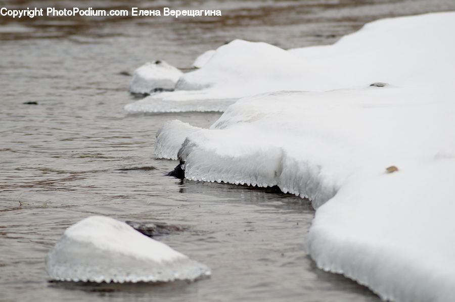 Bird, Grouse, Ptarmigan, Ice, Outdoors, Snow, Animal