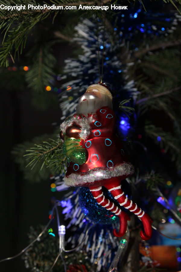 Ornament, Conifer, Fir, Plant, Tree, Lighting, Blossom