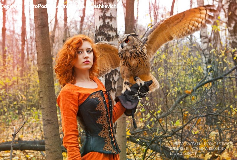 People, Person, Human, Bird, Buzzard, Harrier, Hawk