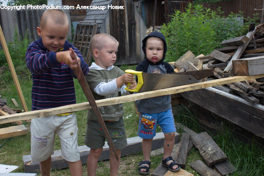 People, Person, Human, Hose, Carpenter, Wood, Shorts
