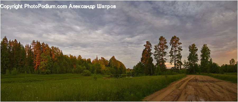 Dirt Road, Gravel, Road