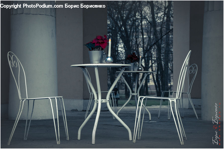 Plant, Potted Plant, Chair, Furniture, Dining Table, Table, Railing