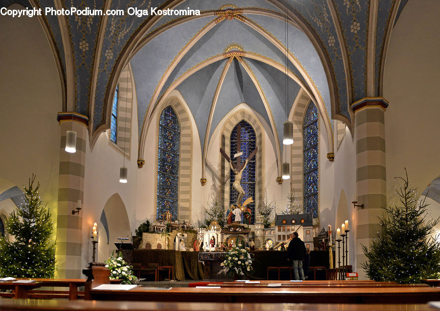 Plant, Potted Plant, Aisle, Corridor, Architecture, Church, Worship