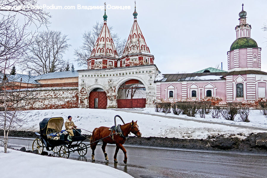 Animal, Horse, Mammal, Carriage, Horse Cart, Vehicle, Architecture