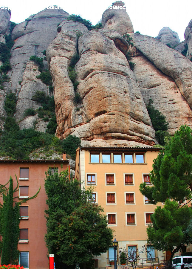 Rock, Ivy, Plant, Vine, Apartment Building, Building, High Rise