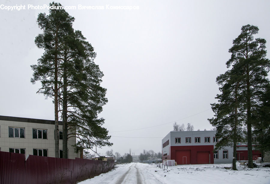 Ice, Outdoors, Snow, Dirt Road, Gravel, Road, Downtown