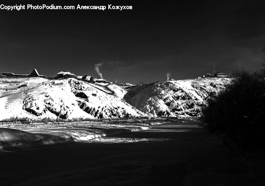 Alps, Crest, Mountain, Peak, Conifer, Fir, Plant