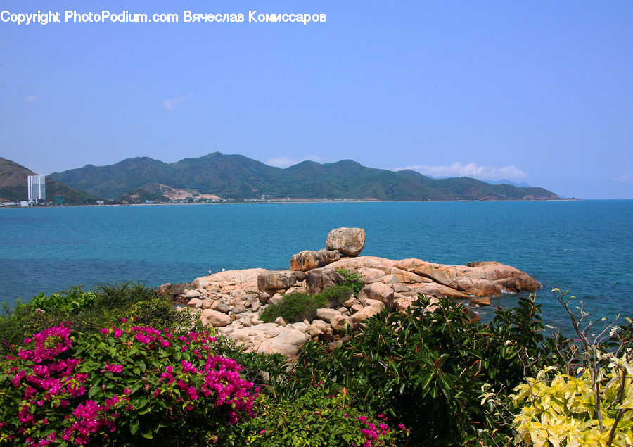 Promontory, Coast, Outdoors, Sea, Water, Rock, Bush