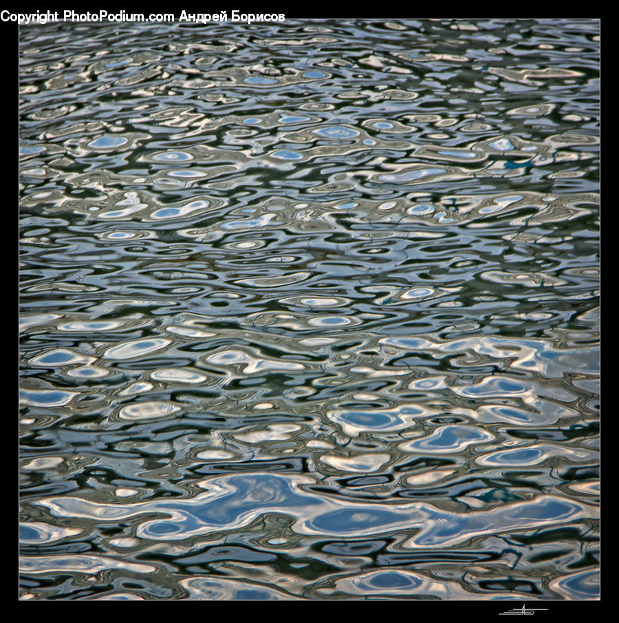 Fish, Herring, Sardine, Sea Life, Cobblestone, Pavement, Walkway