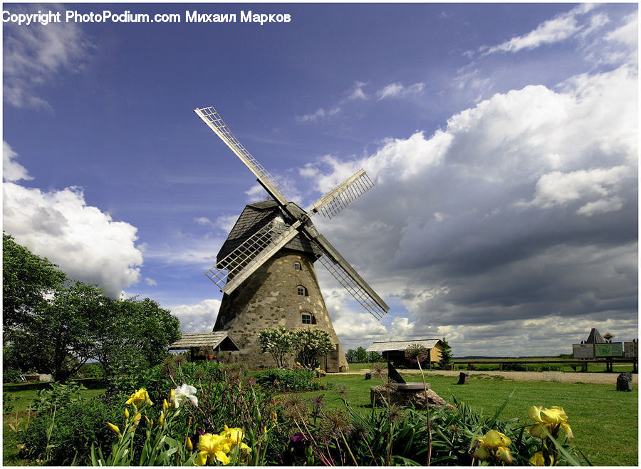 Engine, Machine, Motor, Turbine, Wind Turbine, Plant, Tree