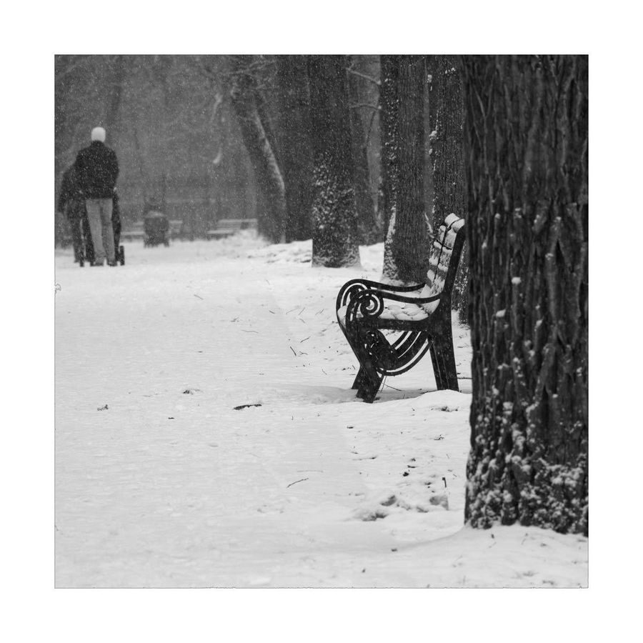 Bench, Chair, Furniture