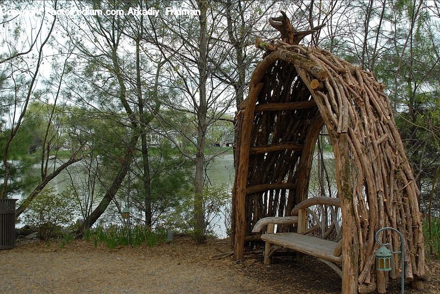 Chair, Furniture, Bench, Wood, Fir, Redwood, Tree