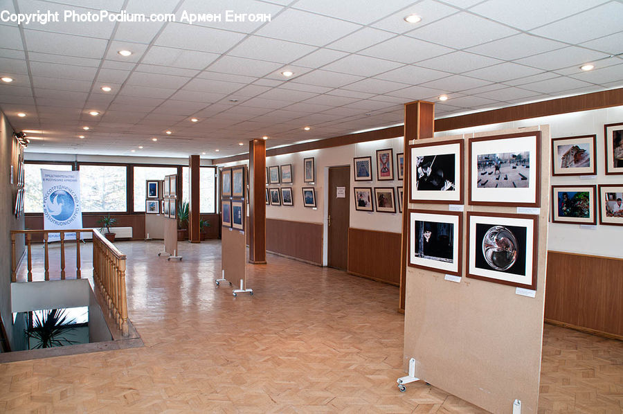 Art, Art Gallery, Floor, Flooring, Plywood, Wood, Hardwood