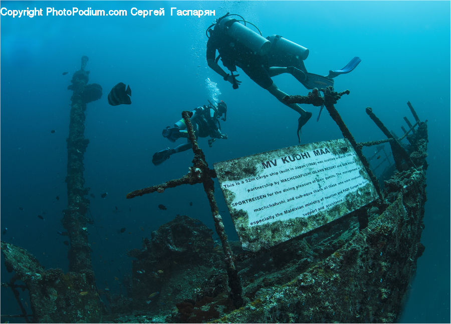 Diver, Diving, Sport, Water, Person, Coral Reef, Outdoors