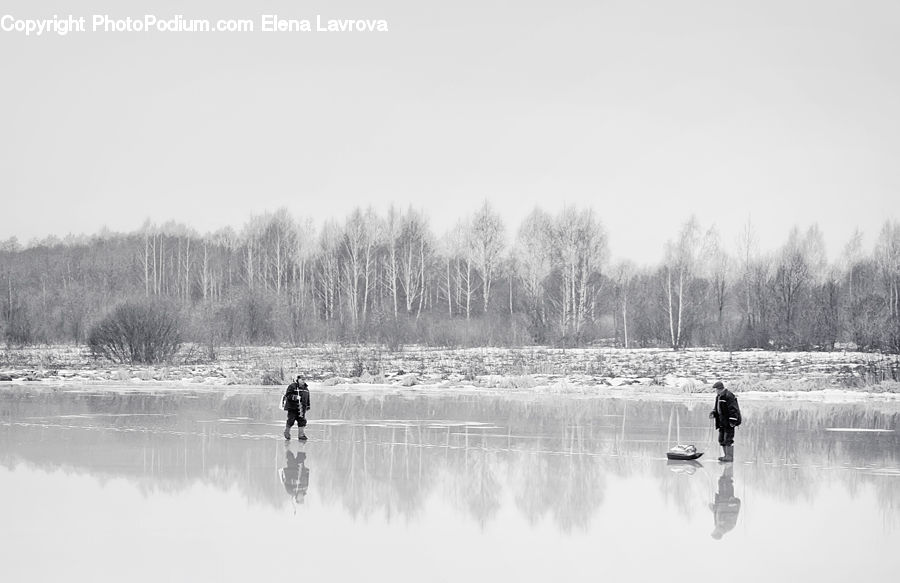 Ice, Outdoors, Snow, Forest, Vegetation, Water, Land
