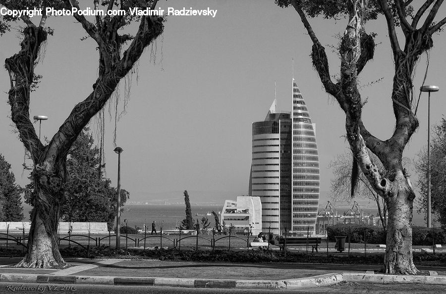 Plant, Tree, Building, Office Building, Art, Sculpture, Statue