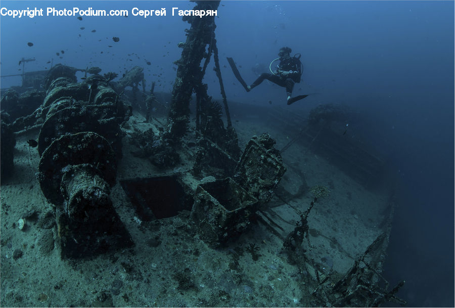 Coral Reef, Outdoors, Reef, Sea, Sea Life, Water, Shipwreck