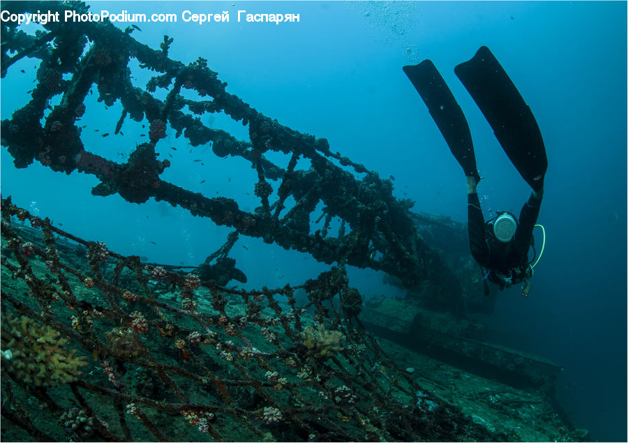 Diver, Diving, Sport, Water, Person
