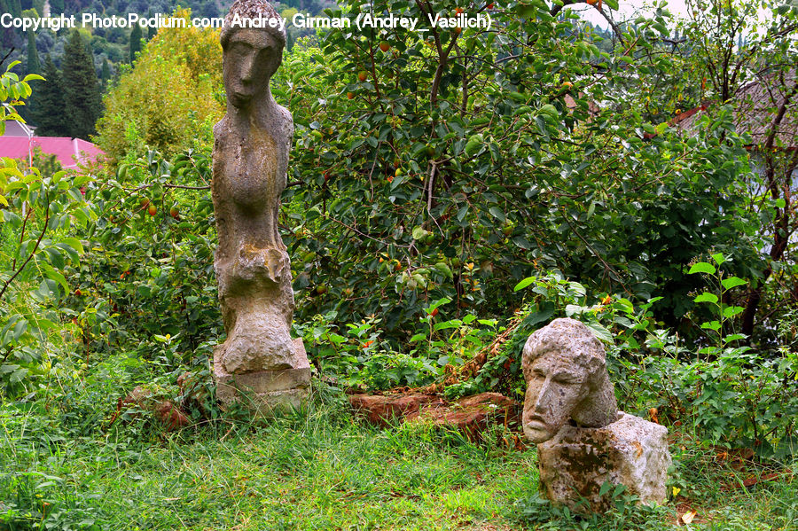 Art, Sculpture, Statue, Ivy, Plant, Vine, Vegetation