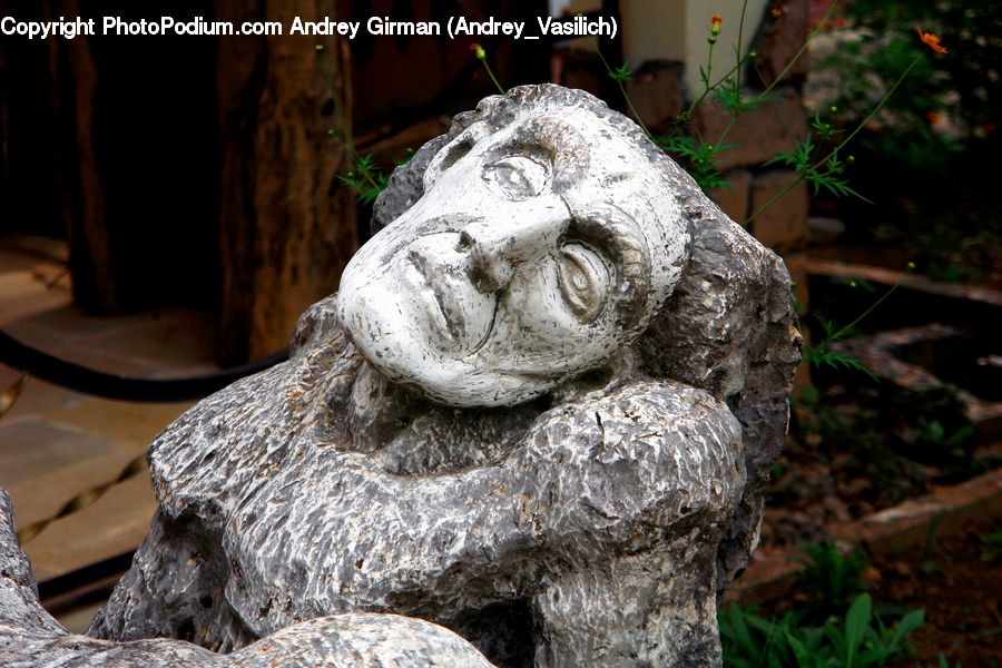 Art, Gargoyle, Statue, Plant, Potted Plant, Soil, Cosmos