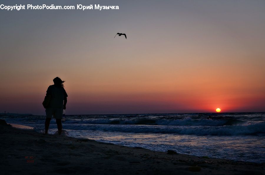 People, Person, Human, Silhouette, Beach, Coast, Outdoors