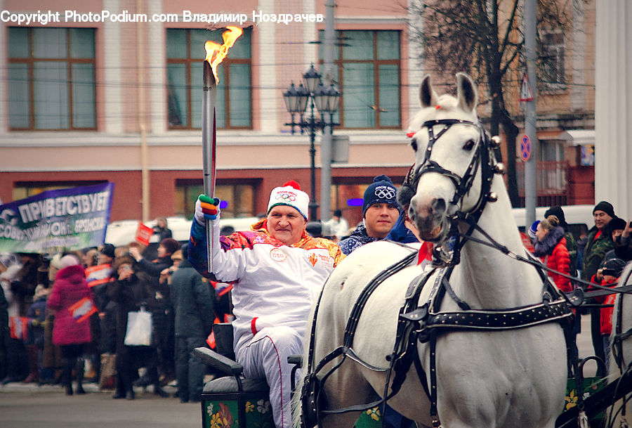 People, Person, Human, Animal, Equestrian, Horse, Carriage