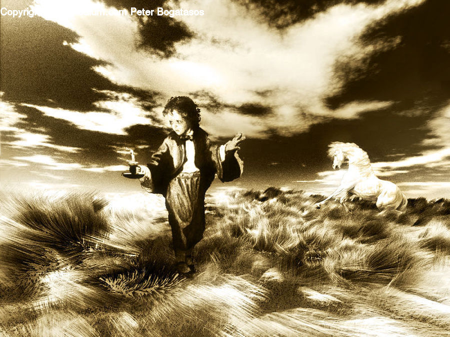 Animal, Canine, Dog, Mammal, Pet, Field, Grass