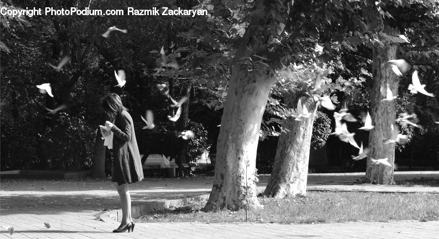 People, Person, Human, Dance, Dance Pose, Tango, Fir