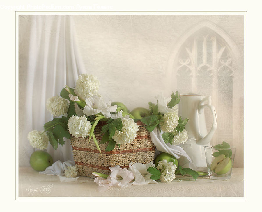Blossom, Flower, Lilac, Plant, Flora, Gladiolus, Flower Arrangement