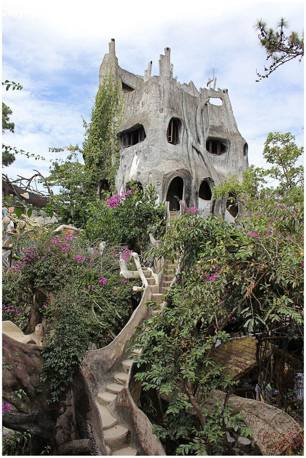 Bonsai, Plant, Potted Plant, Tree, Garden, Gardening, Architecture