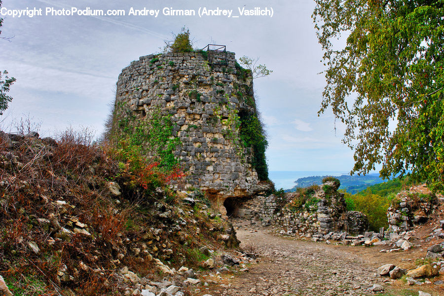 Ruins, Castle, Fort, Bush, Plant, Vegetation, Architecture