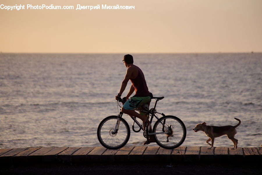 Human, People, Person, Bicycle, Bike, Vehicle, Cyclist