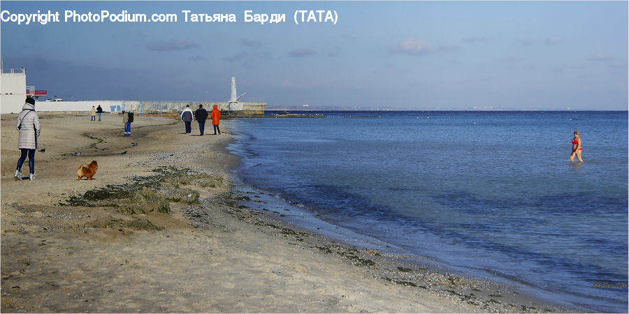 Beach, Coast, Outdoors, Sea, Water, Harbor, Port