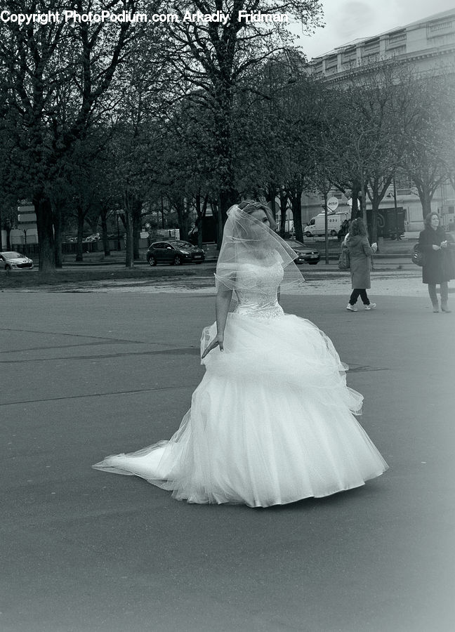 Bride, Gown, Person, Wedding, Clothing, Dress