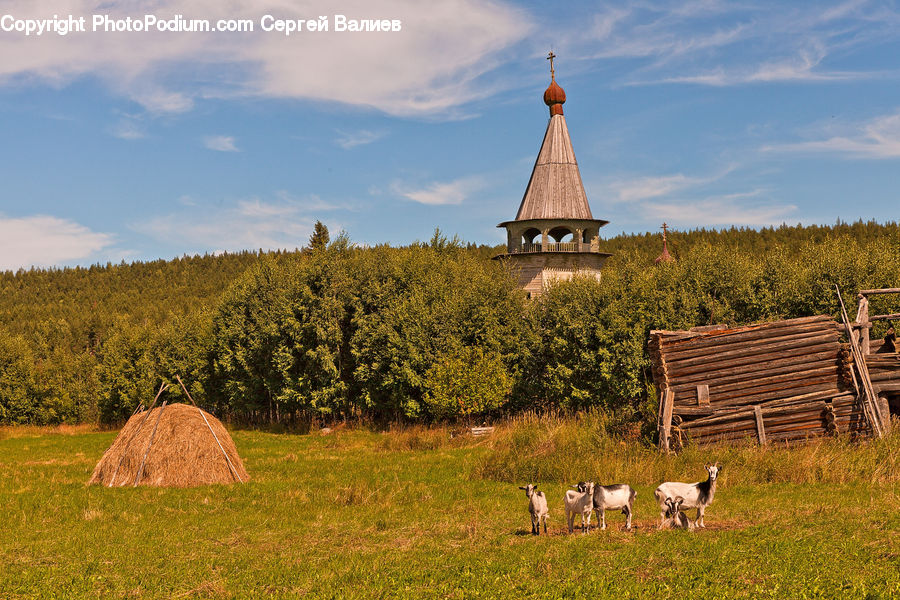Countryside, Hay, Straw, Architecture, Tower, Church, Worship