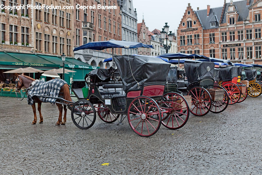 Carriage, Horse Cart, Vehicle, Animal, Horse, Mammal, Transportation
