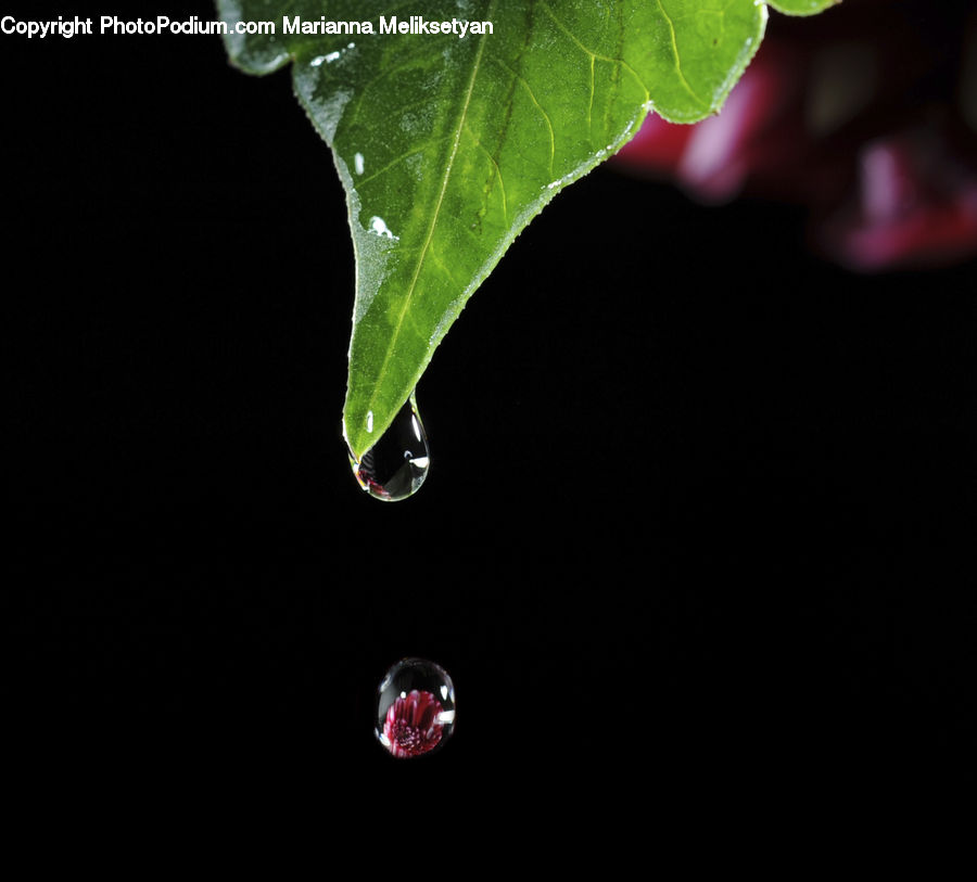 Droplet