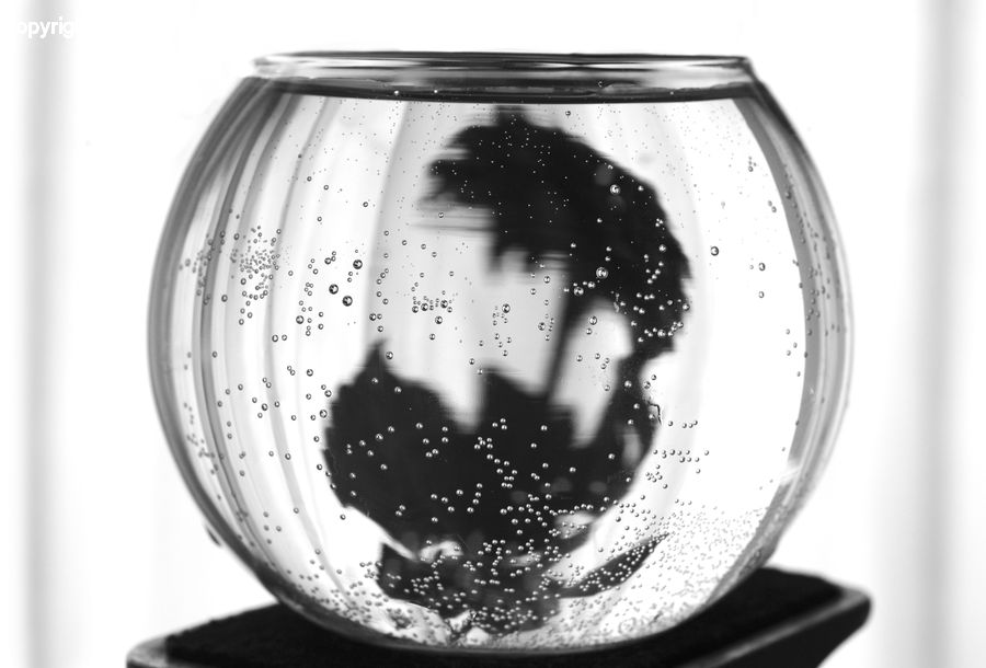 Jar, Beverage, Drink