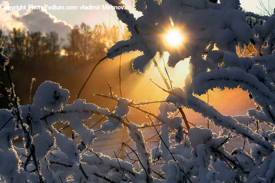 Frost, Ice, Outdoors, Snow, Flare, Light, Sunlight