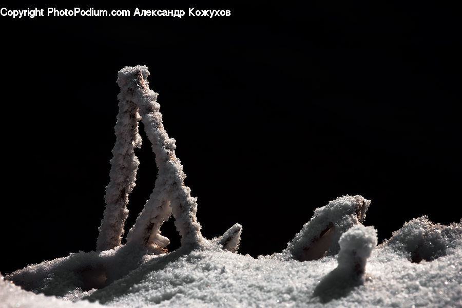 Frost, Ice, Outdoors, Snow, Mammal, Sea Life, Seahorse