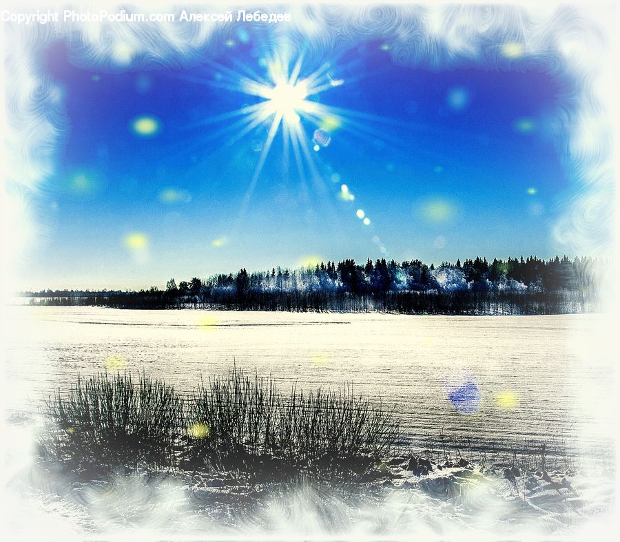 Field, Grass, Grassland, Plant, Water