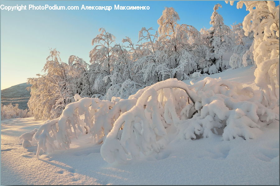 Arctic, Glacier, Ice, Mountain, Outdoors, Snow, Winter