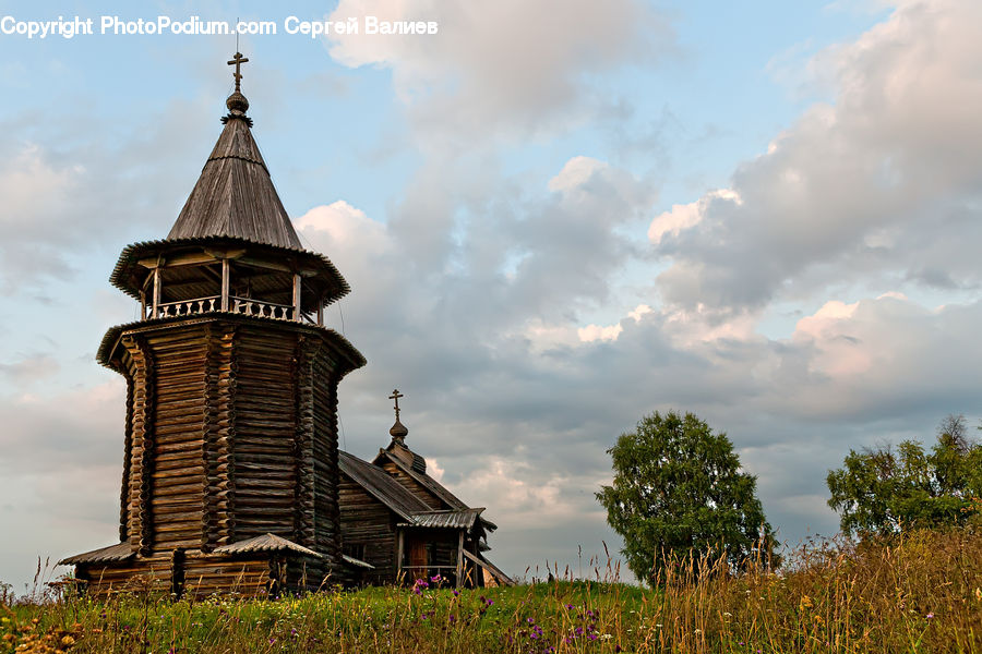 Architecture, Bell Tower, Clock Tower, Tower, Plant, Tree, Spire